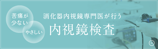 消化器内視鏡専門医が行う「内視鏡検査」