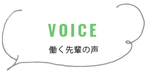 働く先輩の声